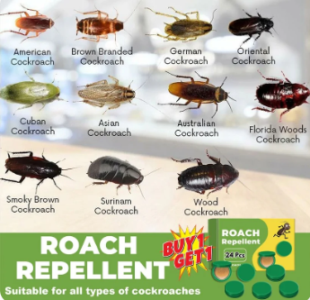 Cockroach Killer Gel (Buy 1 Get 1 Free) 24pcs